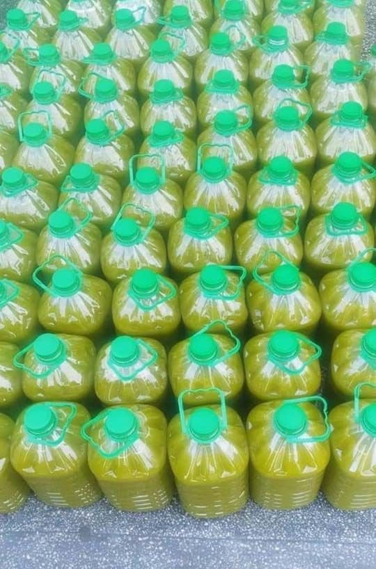 Packaged olive oil bottles