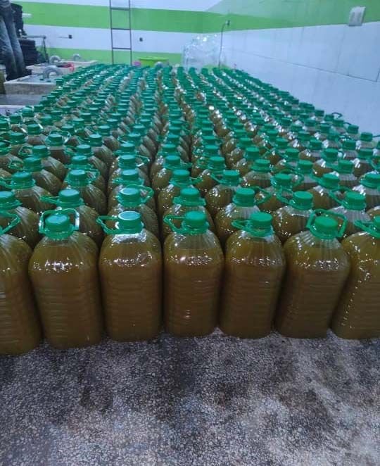 Bottled olive oil indoors